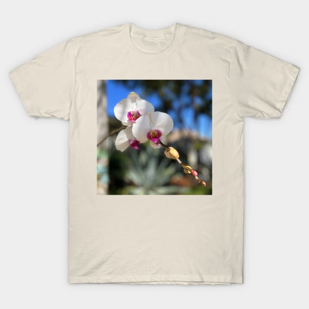 White Orchid Trio Pink Centers T-Shirt by KarenZukArt